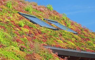Leinthall Starkes living roof systems