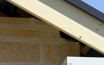 soffit repair Leinthall Starkes
